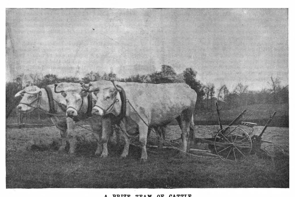 An illustration from Scientific American, Vol. 69, No. 6 (August 1893), 1893, leaf 4