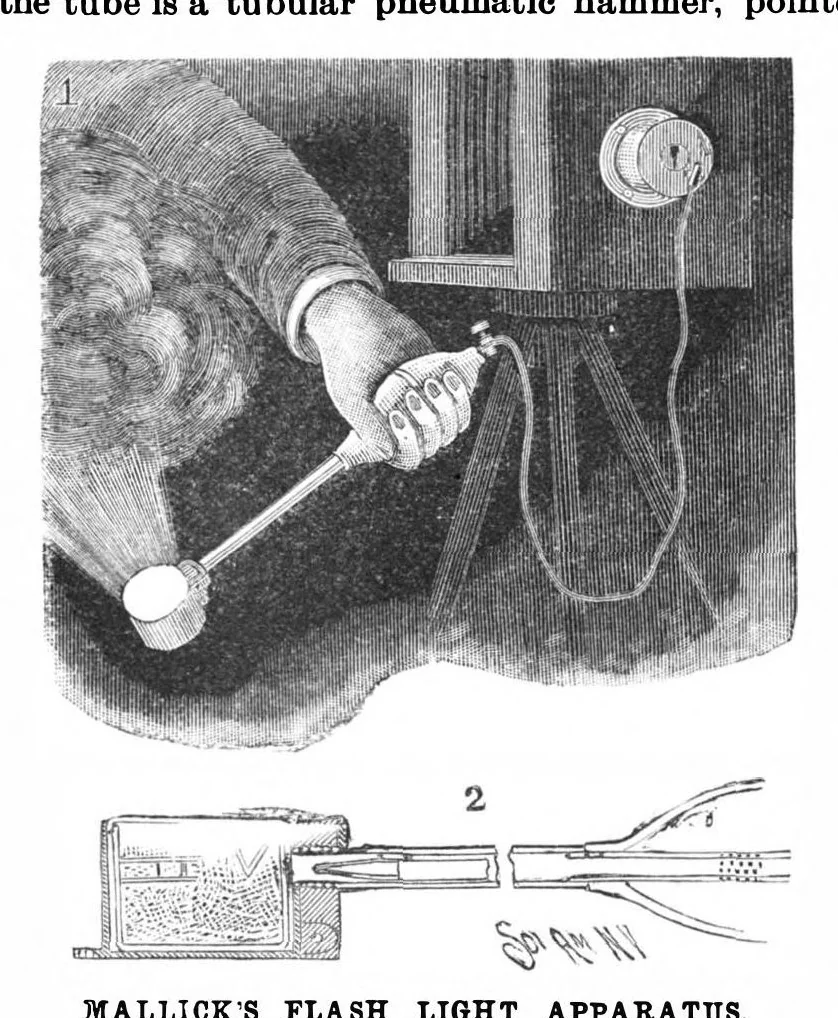 An illustration from Scientific American, Vol. 69, No. 7 (August 1893), 1893, leaf 4