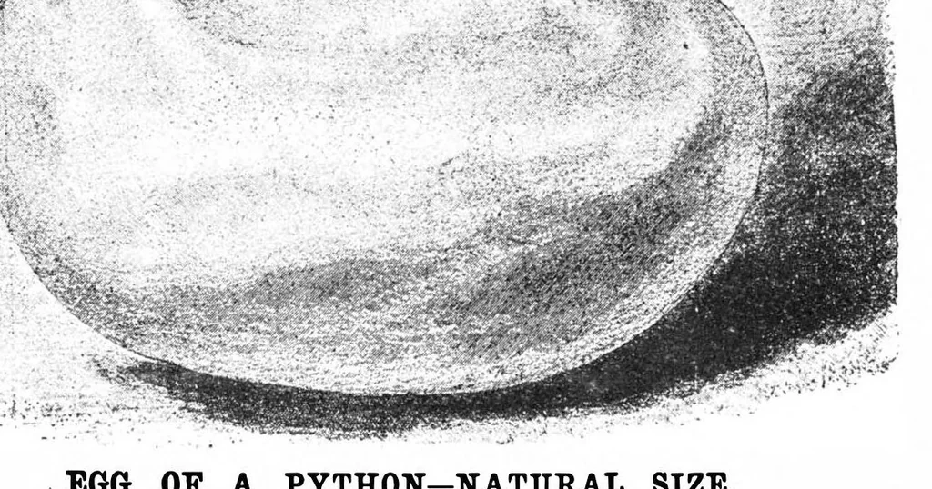 An illustration from Scientific American, Vol. 69, No. 7 (August 1893), 1893, leaf 8