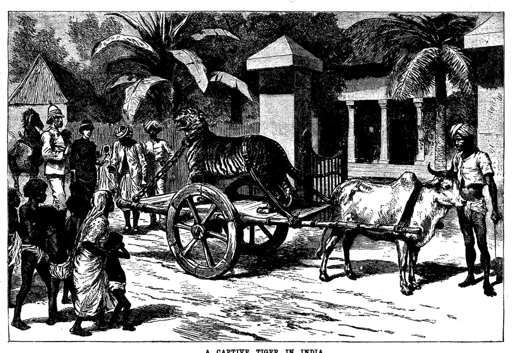 An illustration from Scientific American, Vol. 69, No. 14 (September 1893), 1893, leaf 10