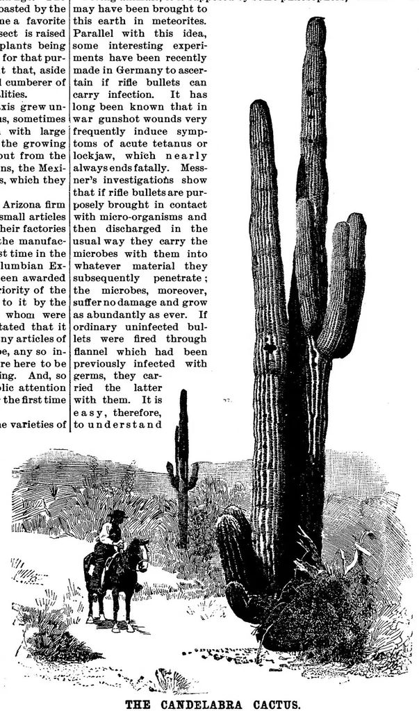 An illustration from Scientific American, Vol. 69, No. 17 (October 1893), 1893, leaf 9