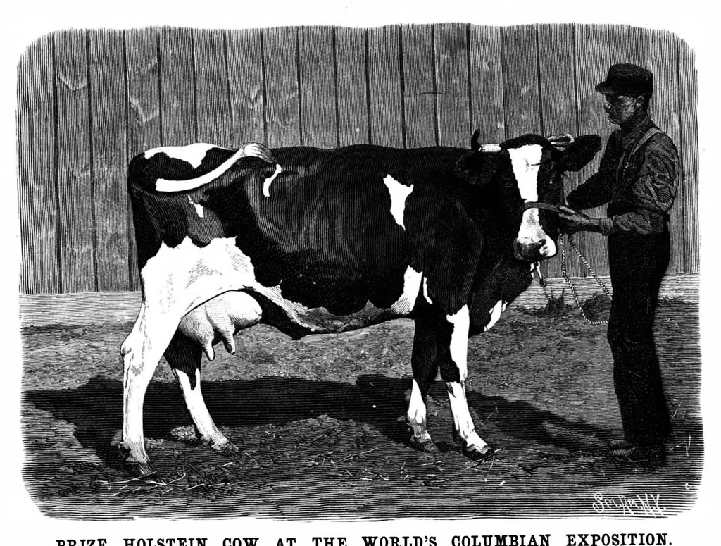 An illustration from Scientific American, Vol. 69, No. 18 (October 1893), 1893, leaf 8