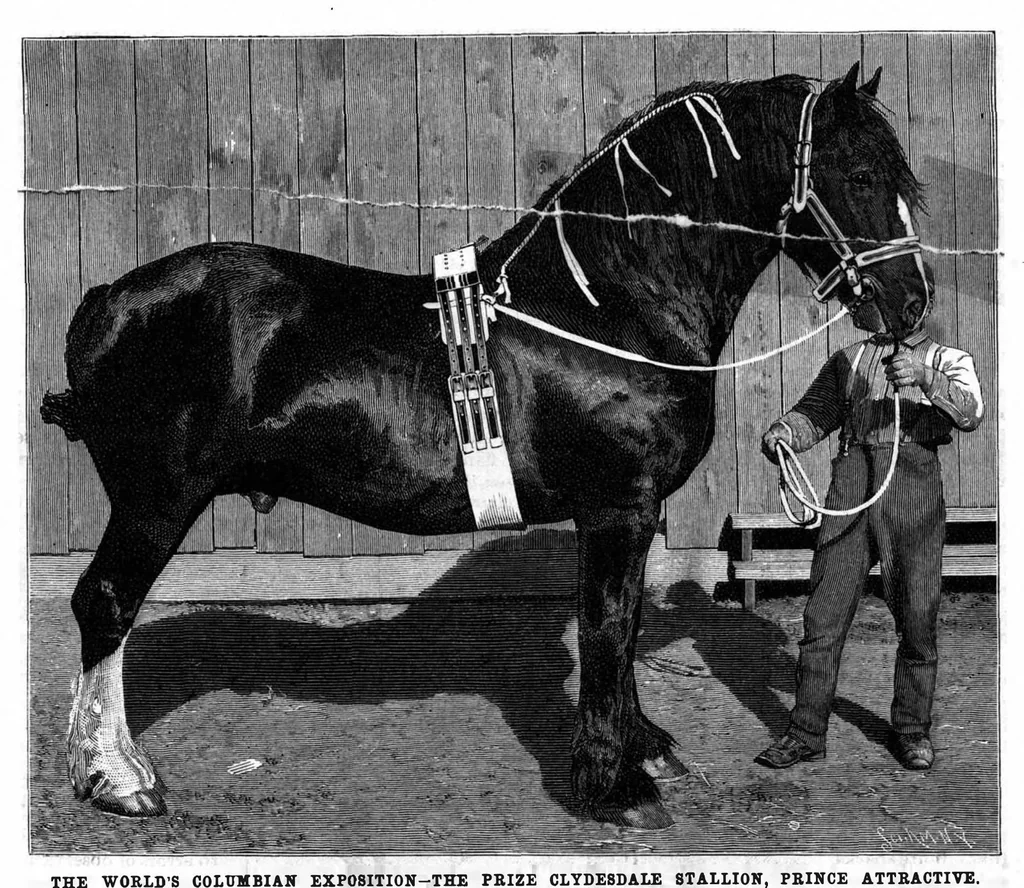 An illustration from Scientific American, Vol. 69, No. 19 (November 1893), 1893, leaf 10