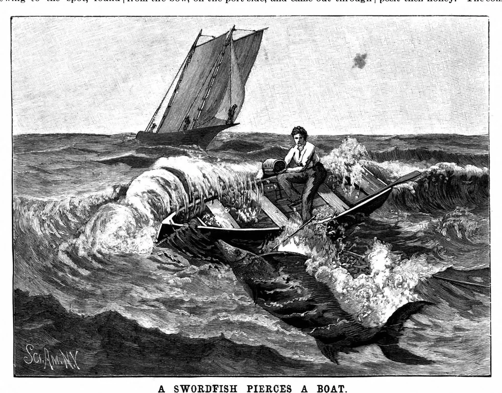An illustration from Scientific American, Vol. 69, No. 19 (November 1893), 1893, leaf 8