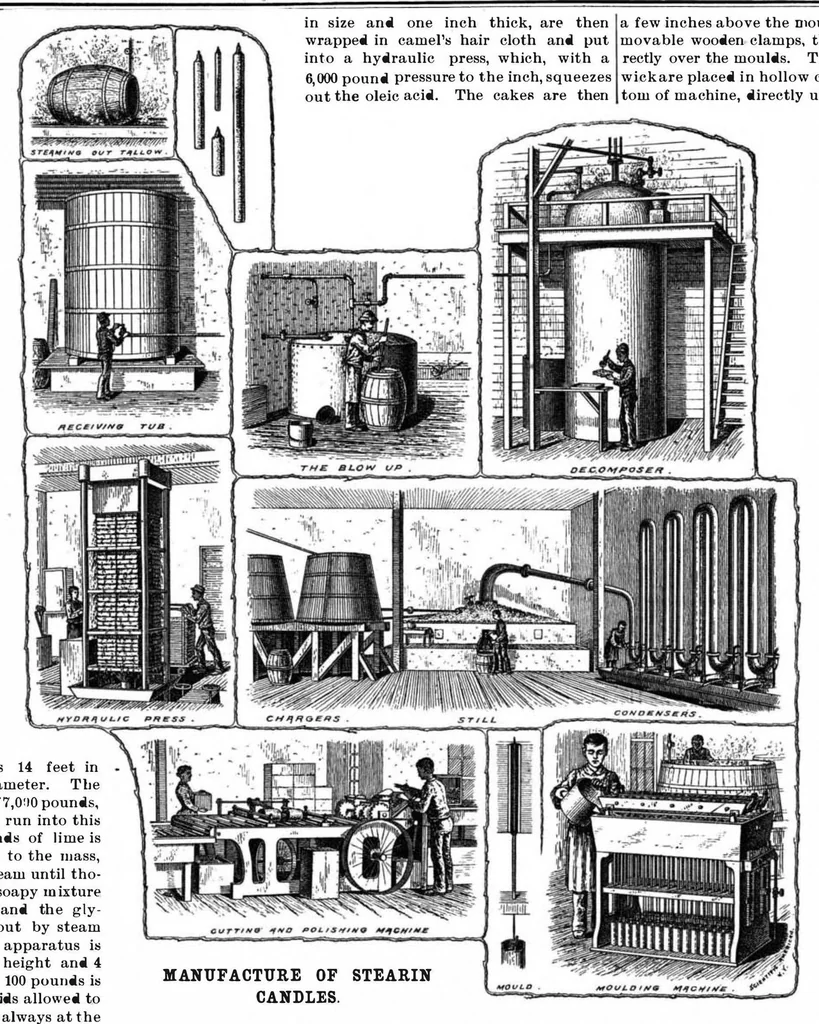 An illustration from Scientific American, Vol. 69, No. 23 (December 1893), 1893, leaf 7