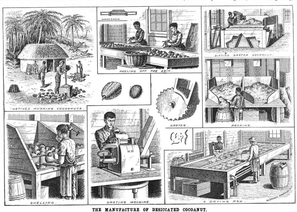 An illustration from Scientific American, Vol. 69, No. 24 (December 1893), 1893, leaf 8