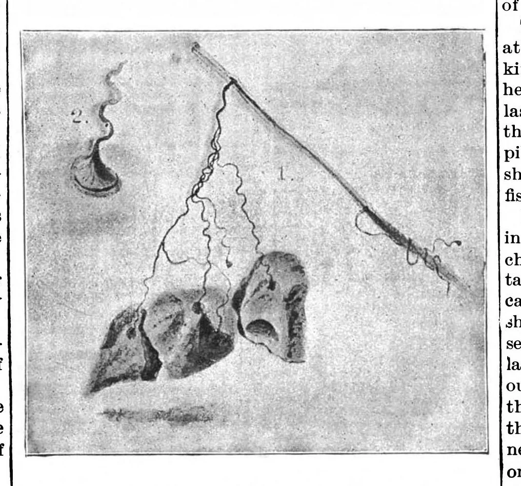 An illustration from Scientific American, Vol. 69, No. 27 (December 1893), 1893, leaf 5