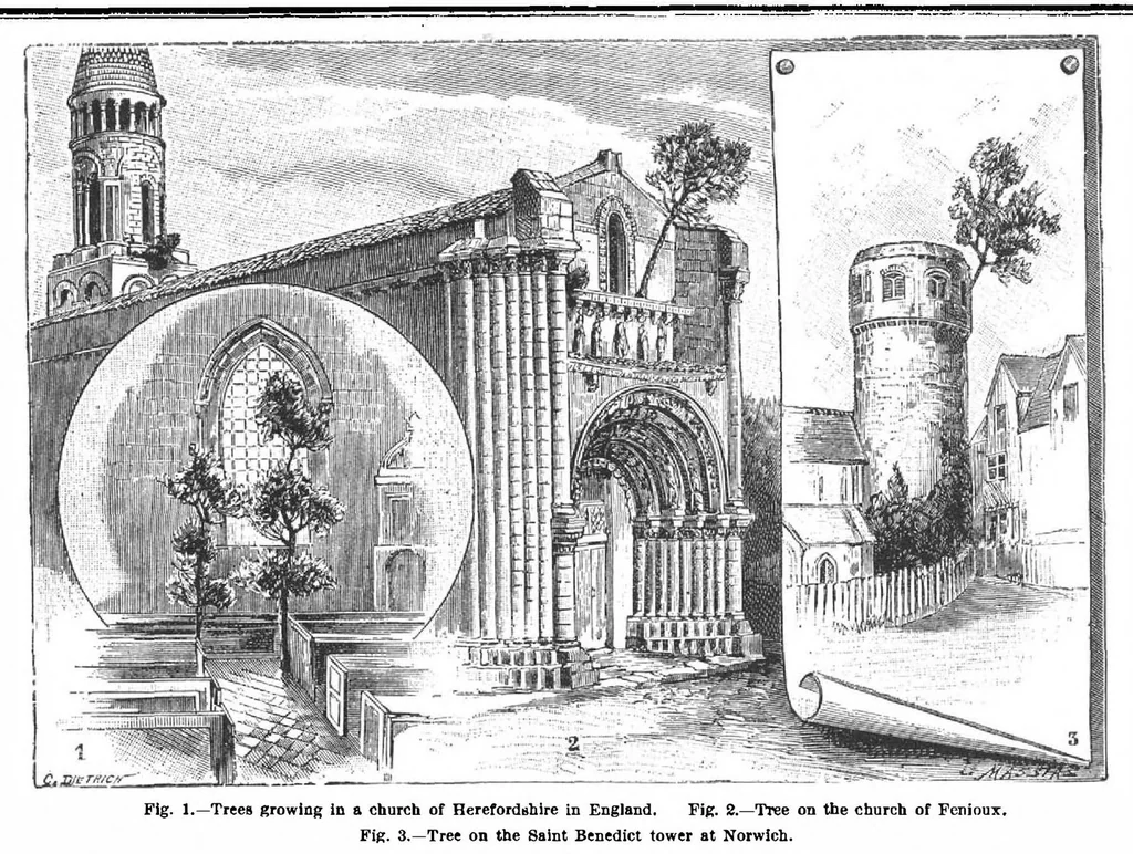 An illustration from Scientific American, Vol. 70, No. 1 (January 1894), 1894, leaf 3