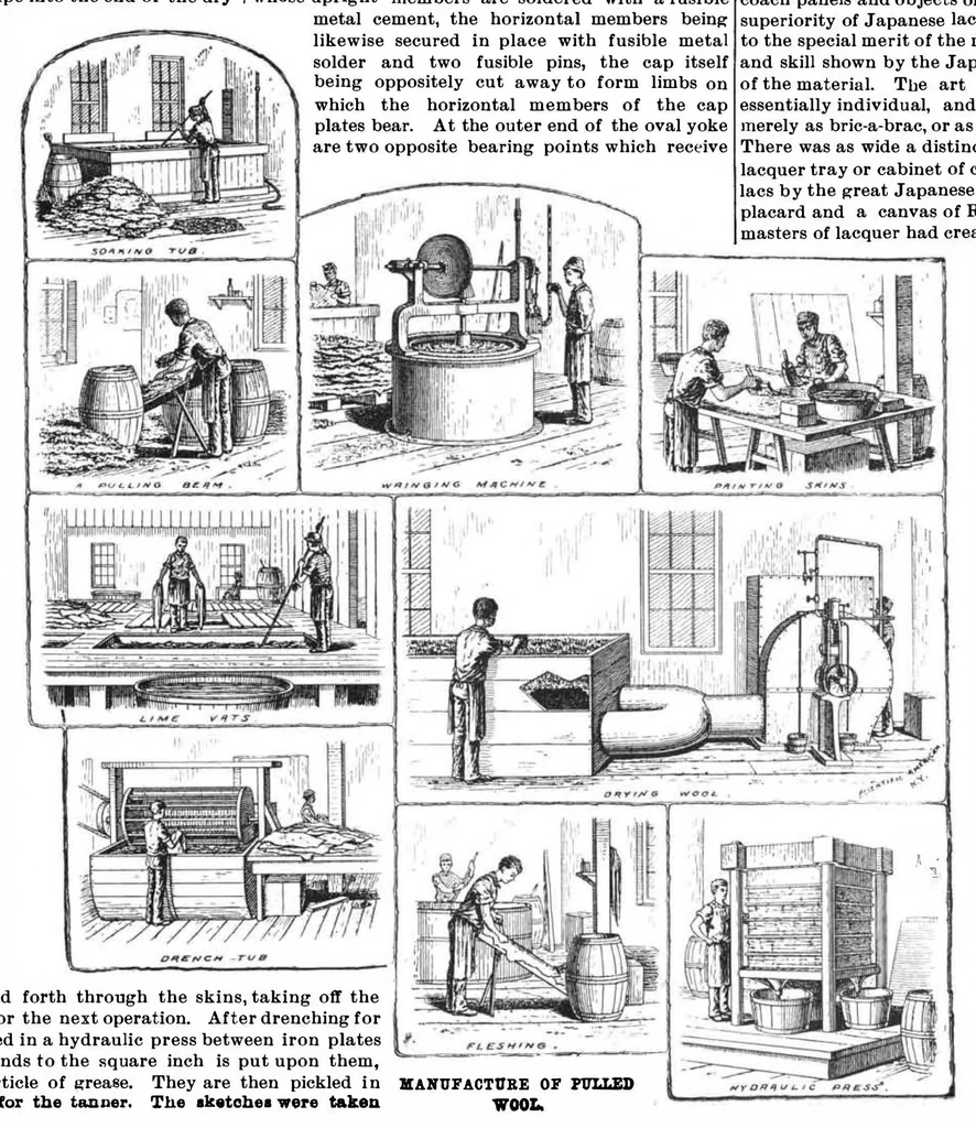 An illustration from Scientific American, Vol. 70, No. 4 (January 1894), 1894, leaf 10