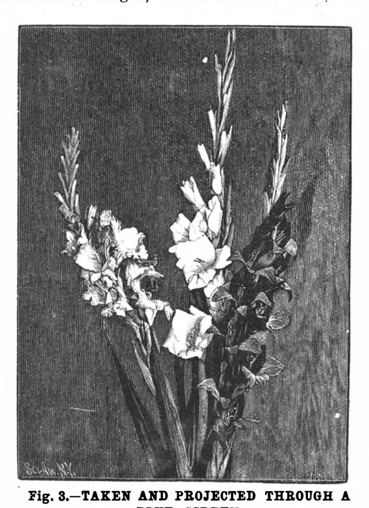 An illustration from Scientific American, Vol. 70, No. 11 (March 1894), 1894, leaf 8