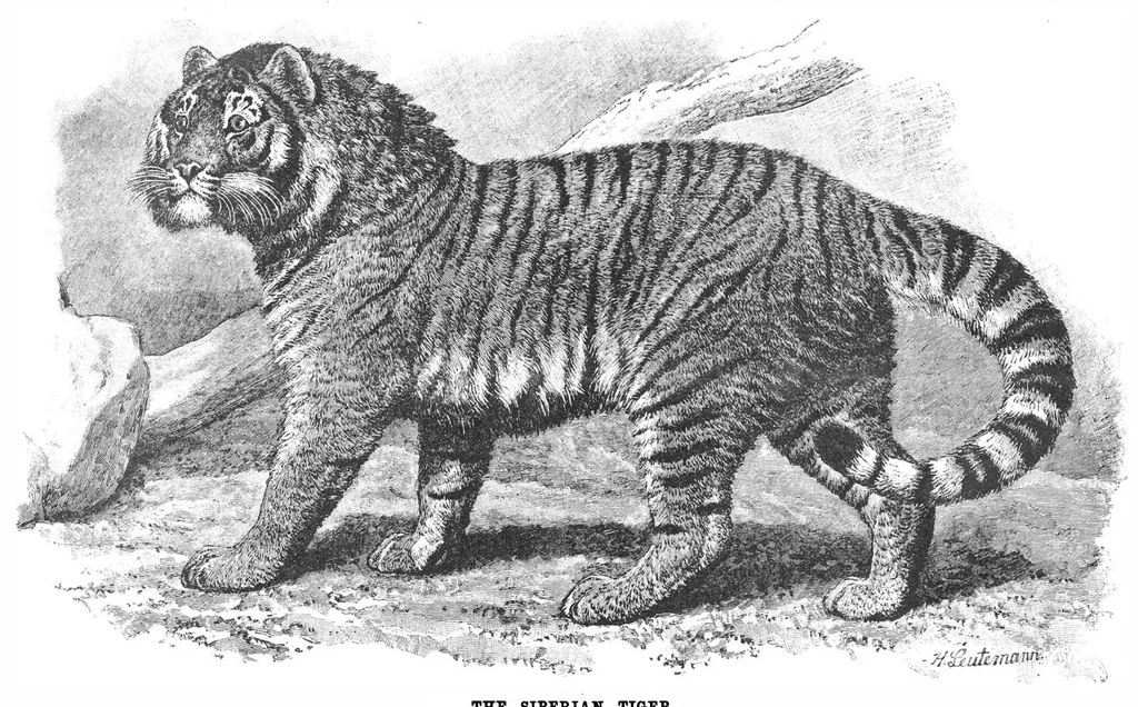 An illustration from Scientific American, Vol. 70, No. 13 (March 1894), 1894, leaf 10