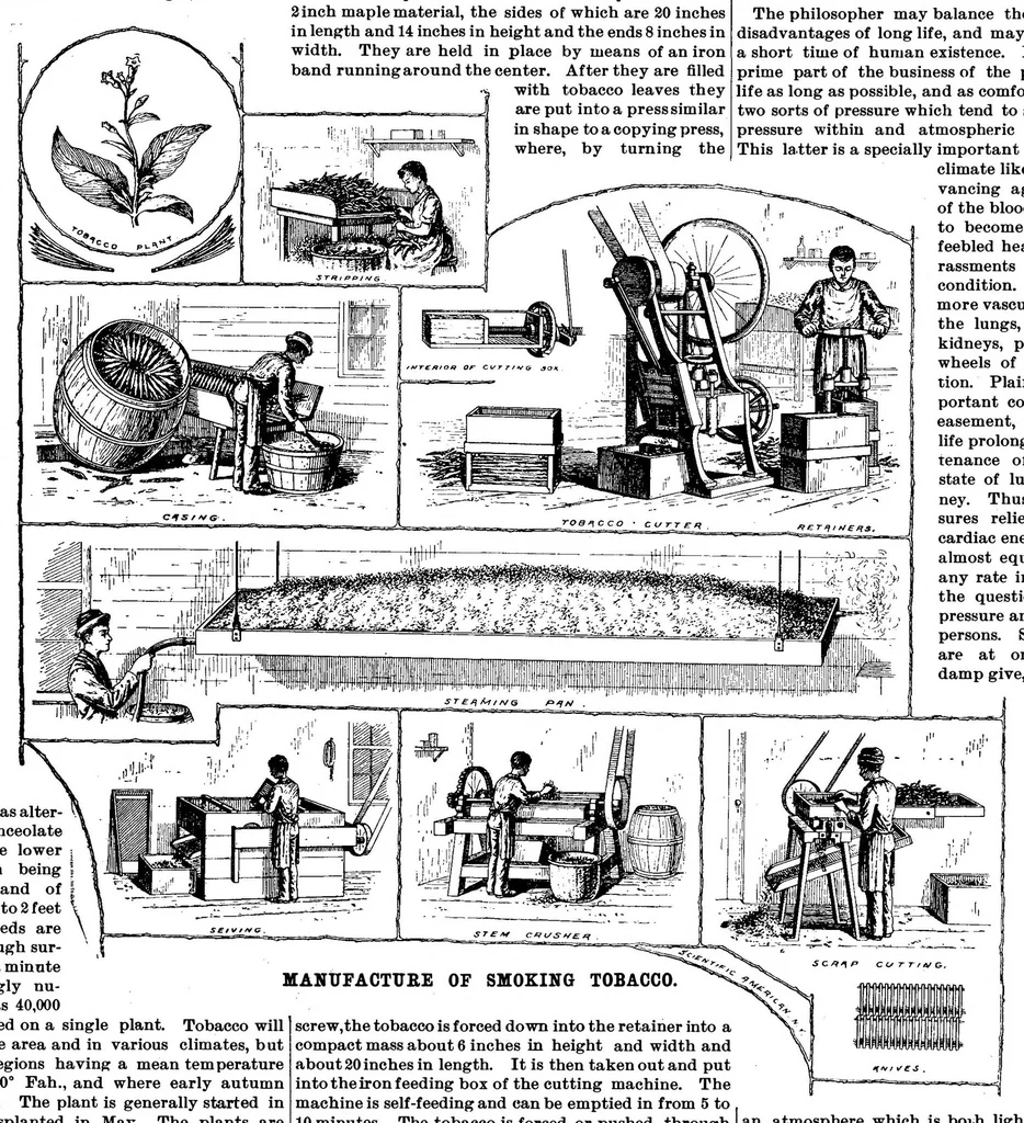 An illustration from Scientific American, Vol. 70, No. 14 (April 1894), 1894, leaf 10