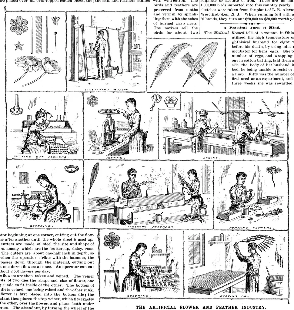 An illustration from Scientific American, Vol. 70, No. 25 (June 1894), 1894, leaf 7