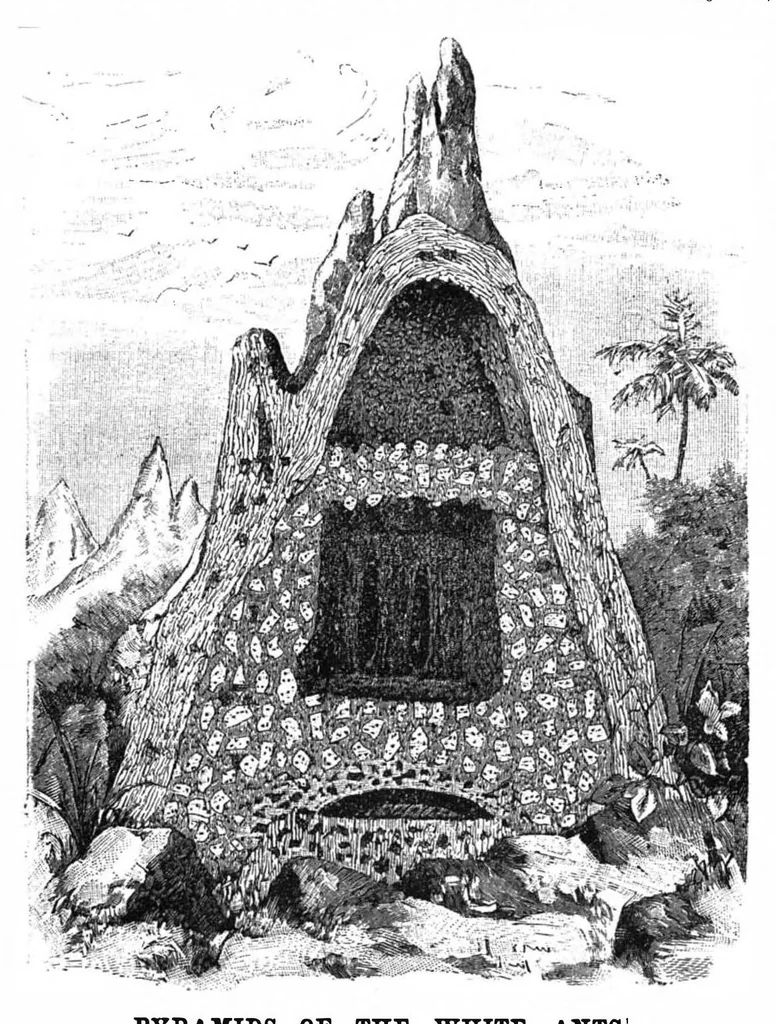 An illustration from Scientific American, Vol. 71, No. 1 (July 1894), 1894, leaf 8