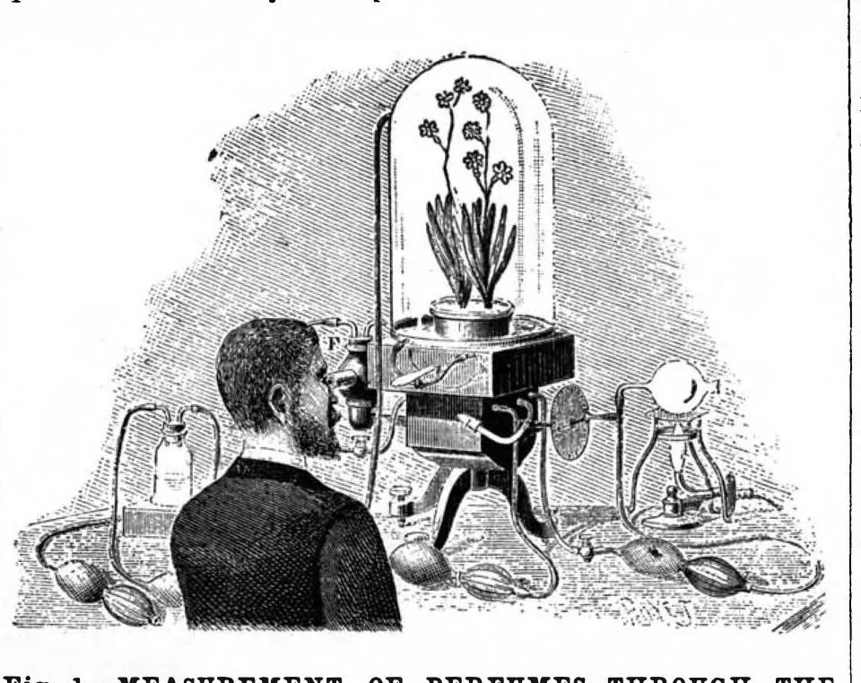 An illustration from Scientific American, Vol. 71, No. 5 (August 1894), 1894, leaf 10