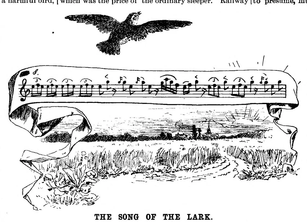 An illustration from Scientific American, Vol. 71, No. 7 (August 1894), 1894, leaf 10