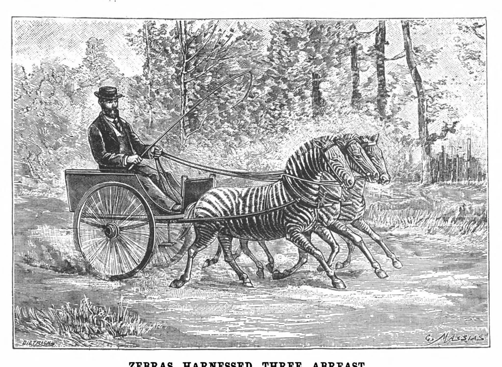 An illustration from Scientific American, Vol. 71, No. 16 (October 1894), 1894, leaf 10