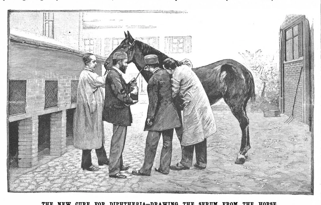 An illustration from Scientific American, Vol. 71, No. 20 (November 1894), 1894, leaf 4