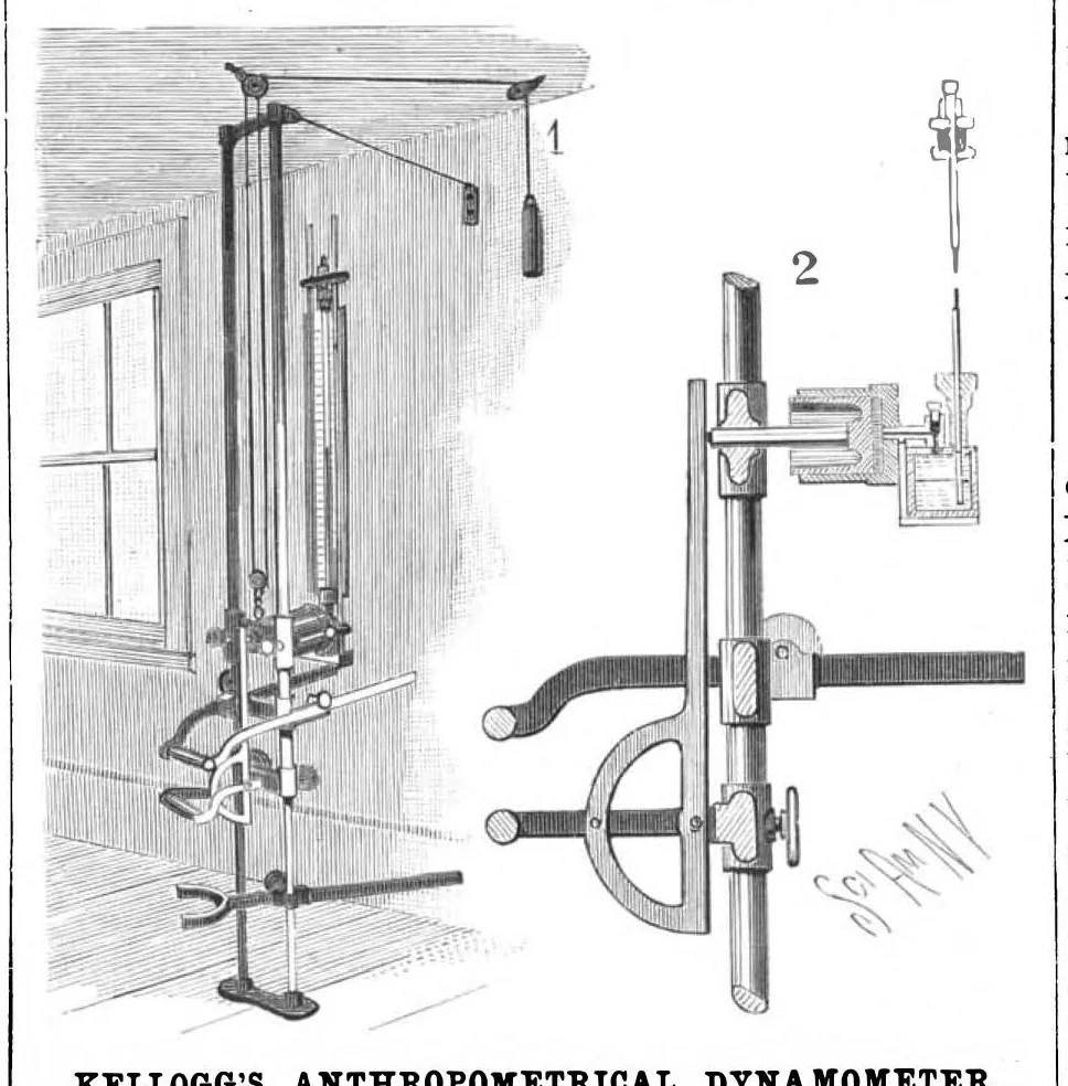 An illustration from Scientific American, Vol. 71, No. 21 (November 1894), 1894, leaf 8