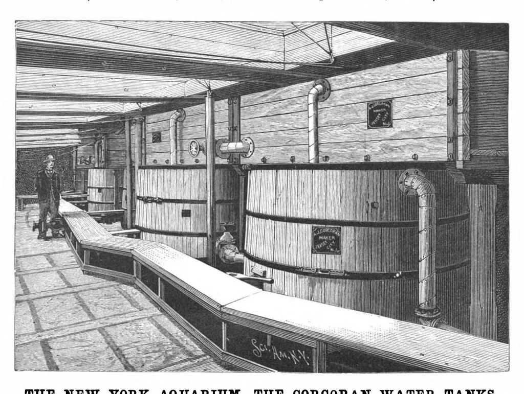 An illustration from Scientific American, Vol. 71, No. 24 (December 1894), 1894, leaf 8