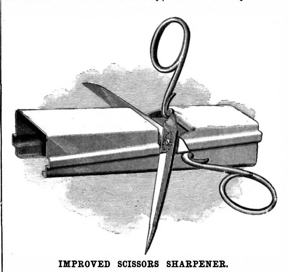 An illustration from Scientific American, Vol. 72, No. 2 (January 1895), 1895, leaf 3