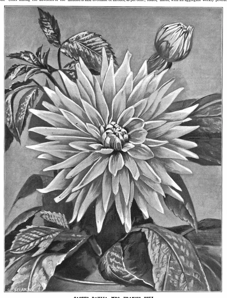 An illustration from Scientific American, Vol. 72, No. 5 (February 1895), 1895, leaf 10