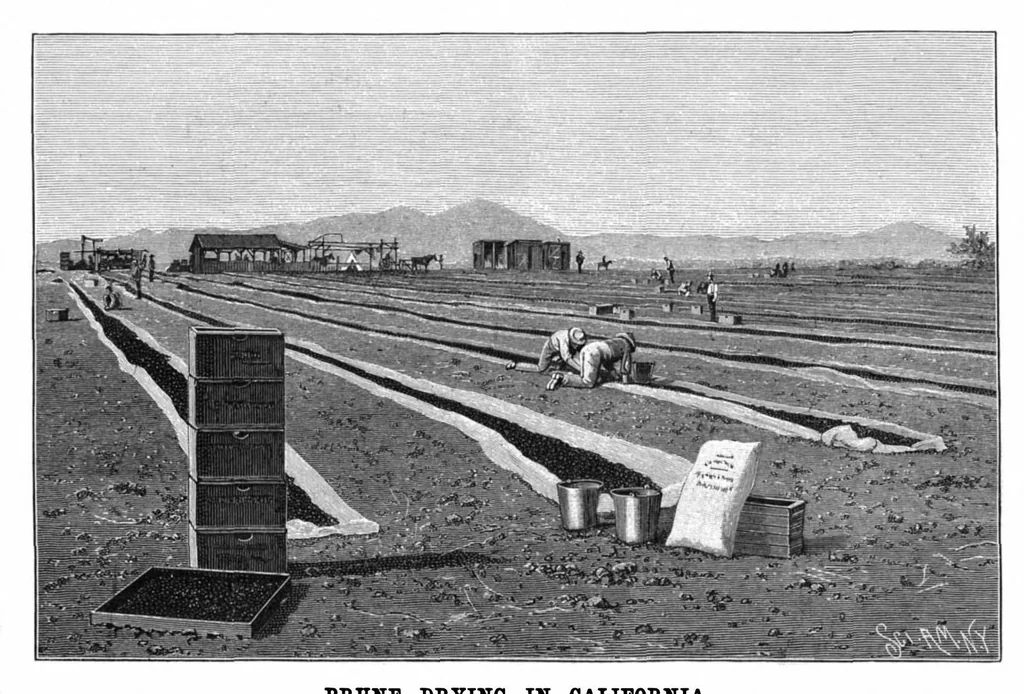 An illustration from Scientific American, Vol. 72, No. 15 (April 1895), 1895, leaf 3