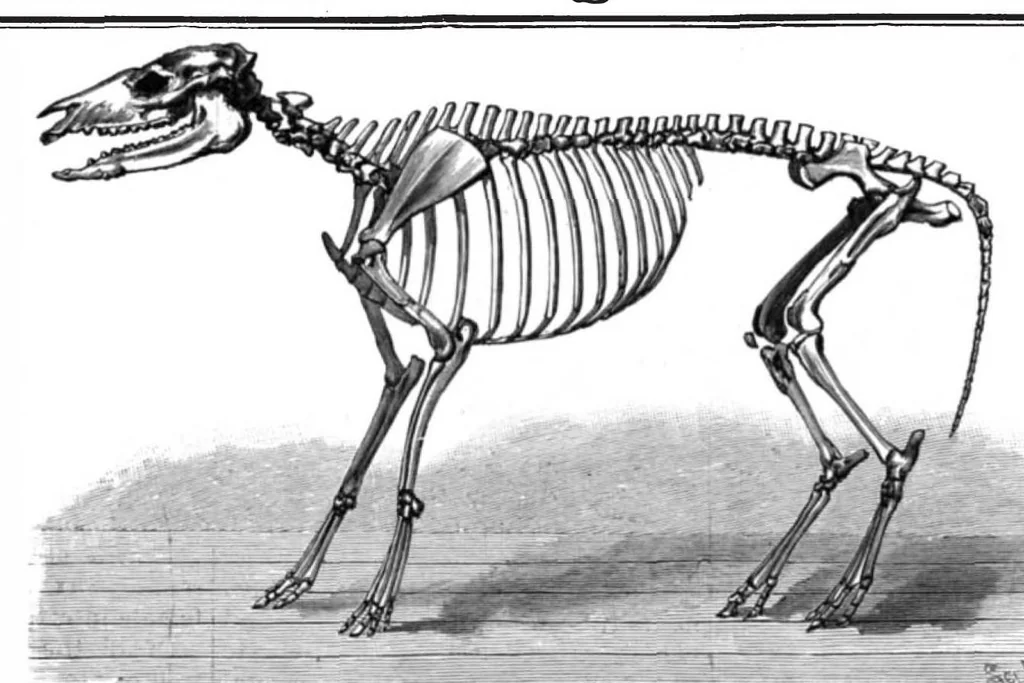 An illustration from Scientific American, Vol. 72, No. 15 (April 1895), 1895, leaf 8