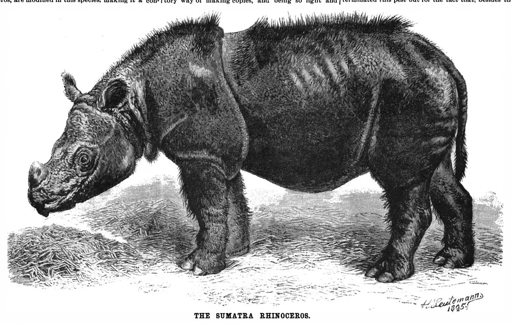 An illustration from Scientific American, Vol. 72, No. 16 (April 1895), 1895, leaf 4