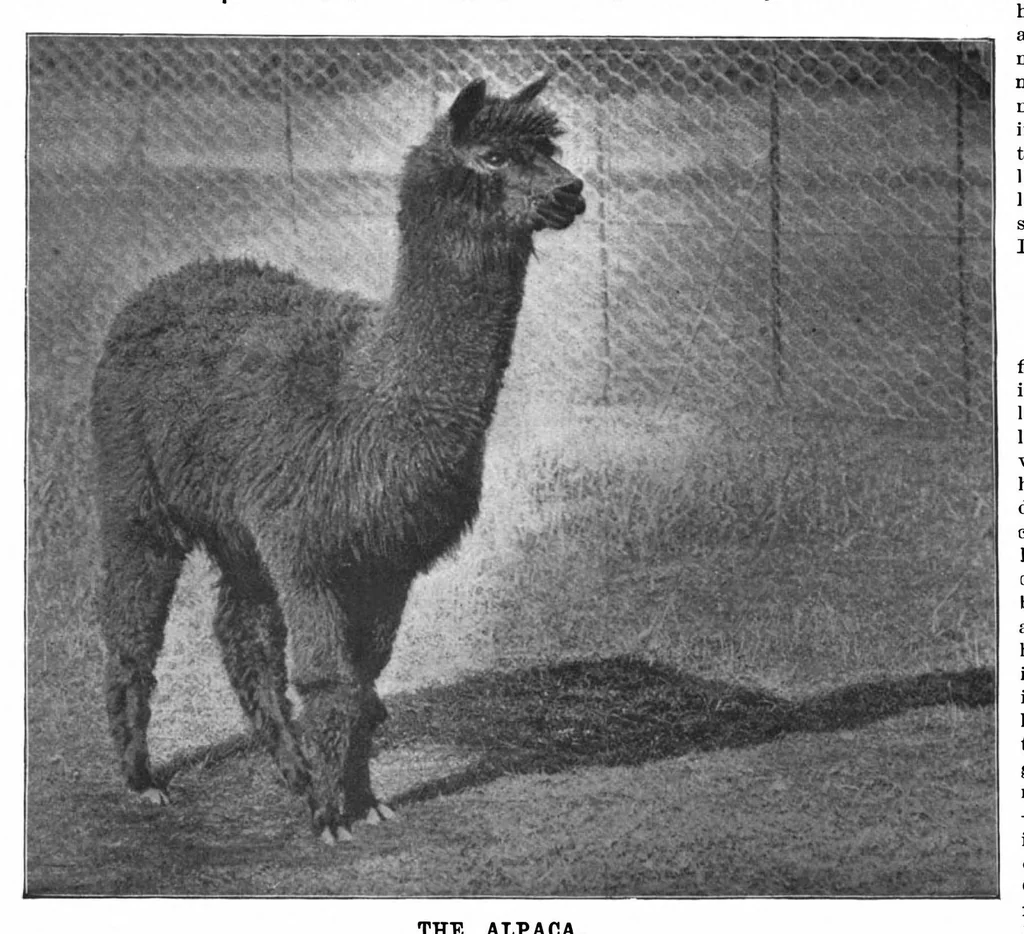 An illustration from Scientific American, Vol. 72, No. 17 (April 1895), 1895, leaf 8