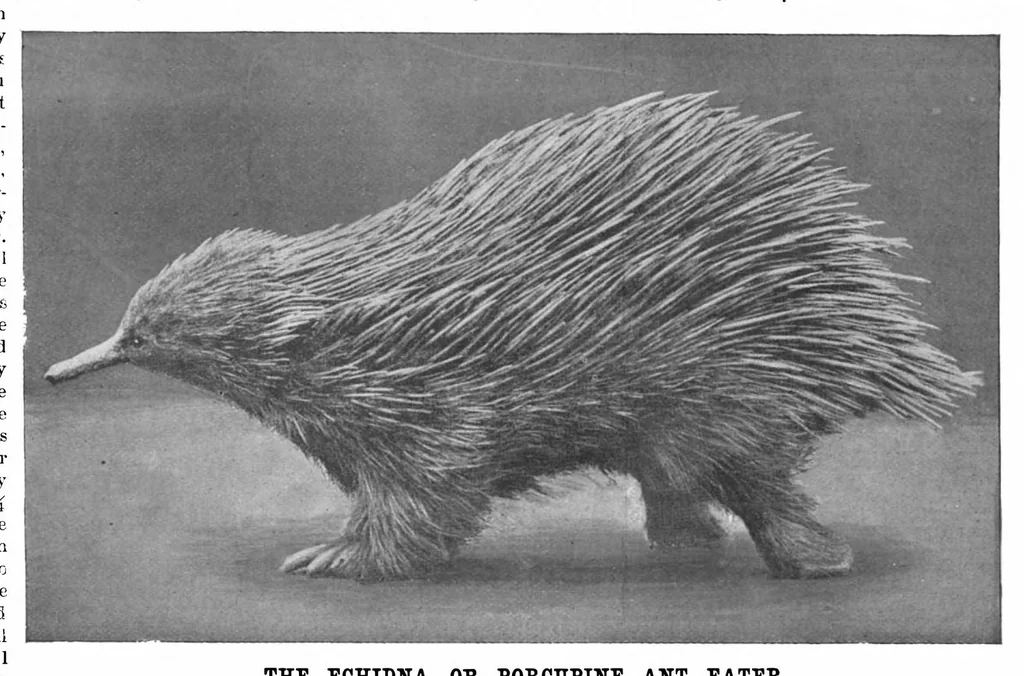An illustration from Scientific American, Vol. 72, No. 17 (April 1895), 1895, leaf 8