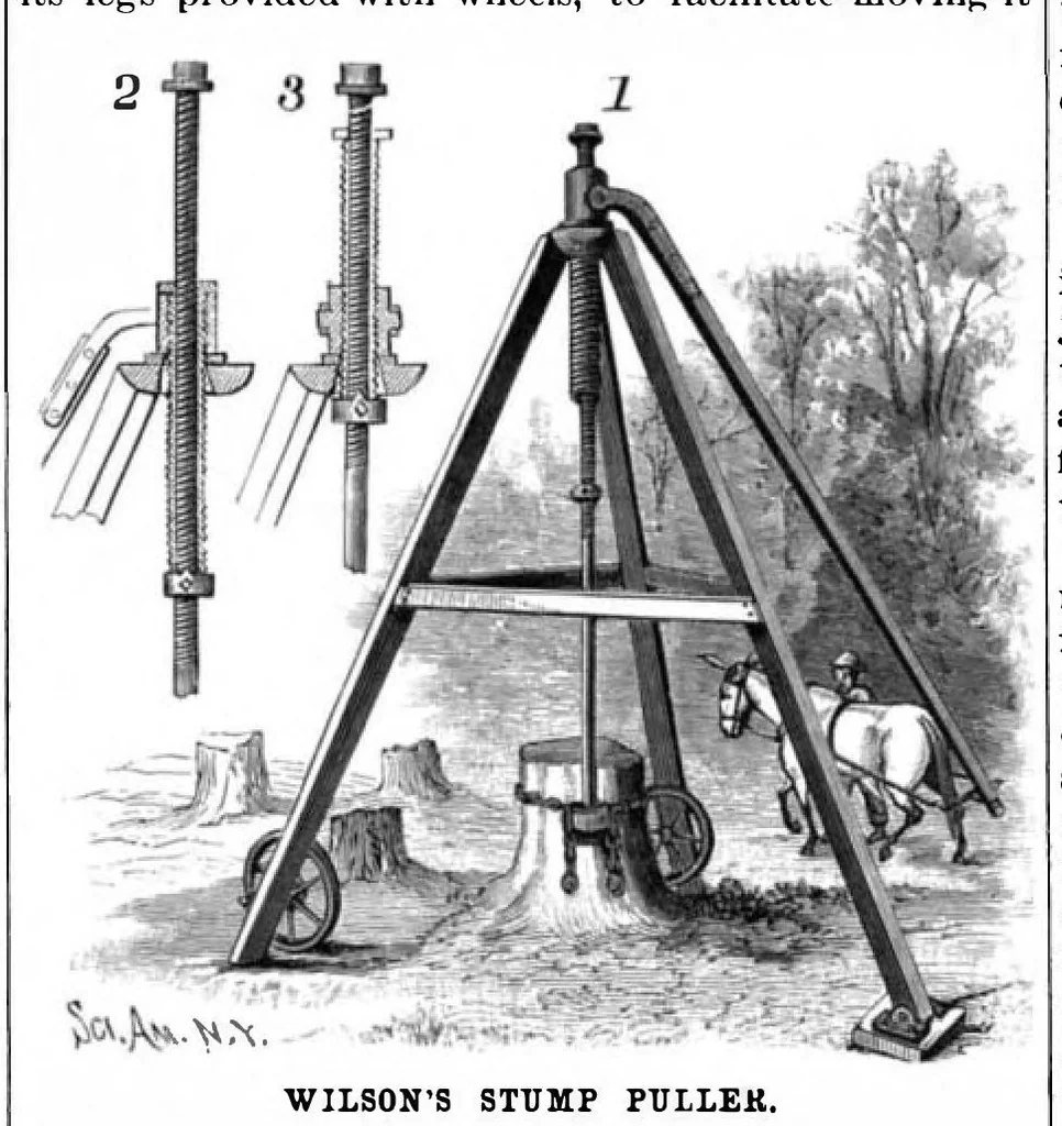 An illustration from Scientific American, Vol. 72, No. 21 (May 1895), 1895, leaf 10