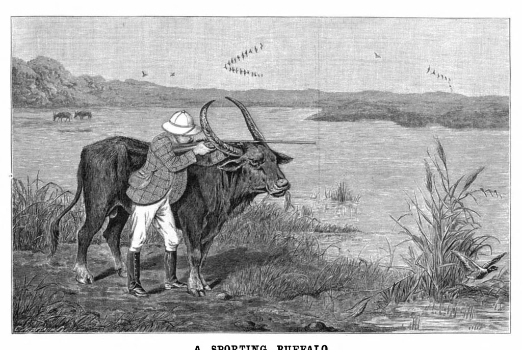 An illustration from Scientific American, Vol. 72, No. 21 (May 1895), 1895, leaf 8