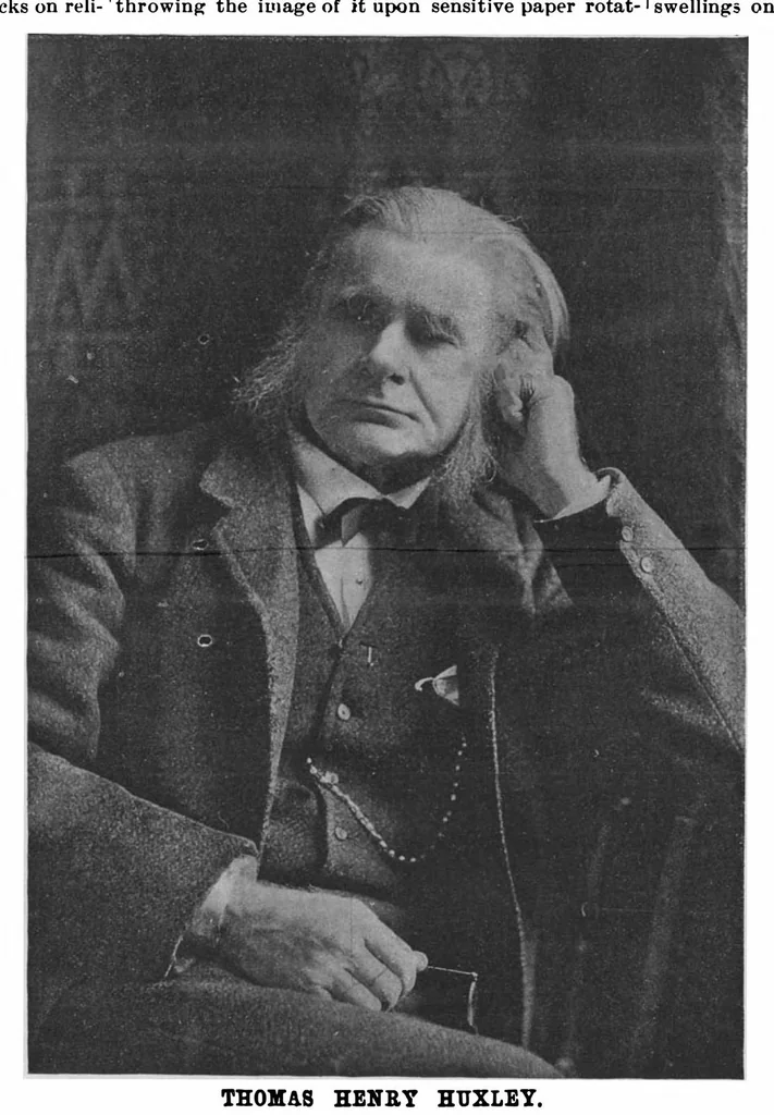 An illustration from Scientific American, Vol. 73, No. 2 (July 1895), 1895, leaf 6
