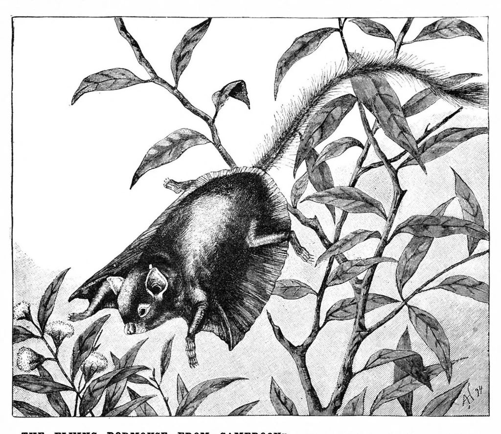 An illustration from Scientific American, Vol. 73, No. 5 (August 1895), 1895, leaf 10