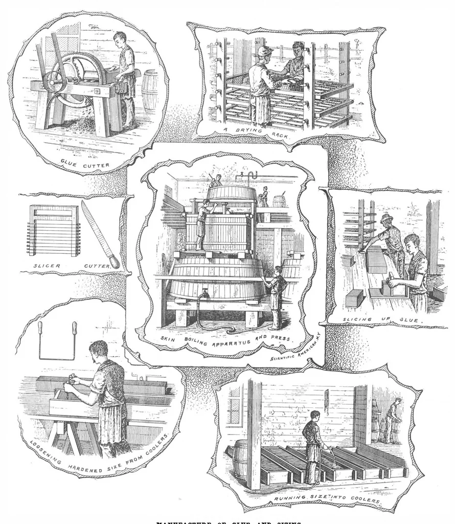 An illustration from Scientific American, Vol. 73, No. 8 (August 1895), 1895, leaf 4