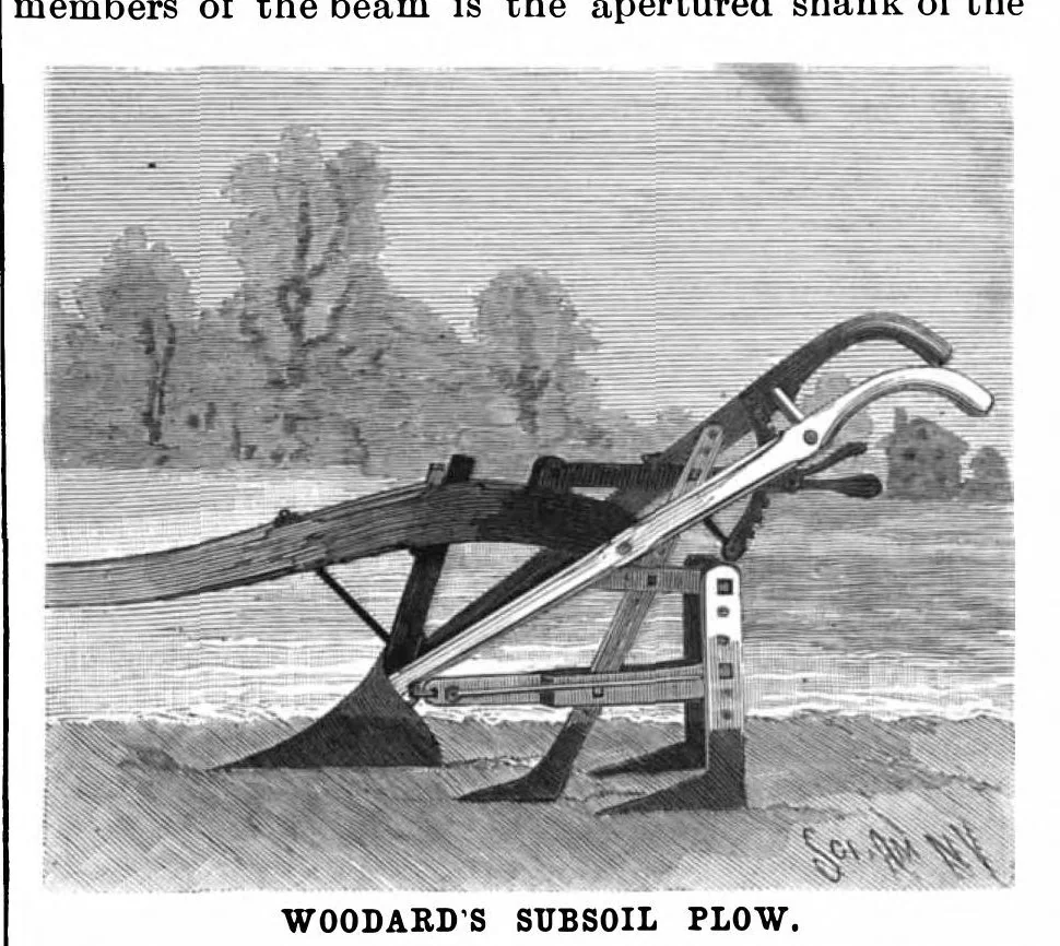An illustration from Scientific American, Vol. 73, No. 9 (August 1895), 1895, leaf 3