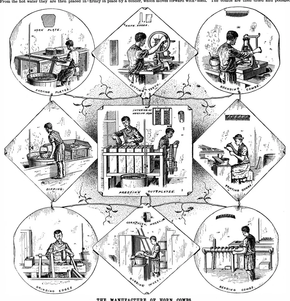 An illustration from Scientific American, Vol. 73, No. 12 (September 1895), 1895, leaf 3