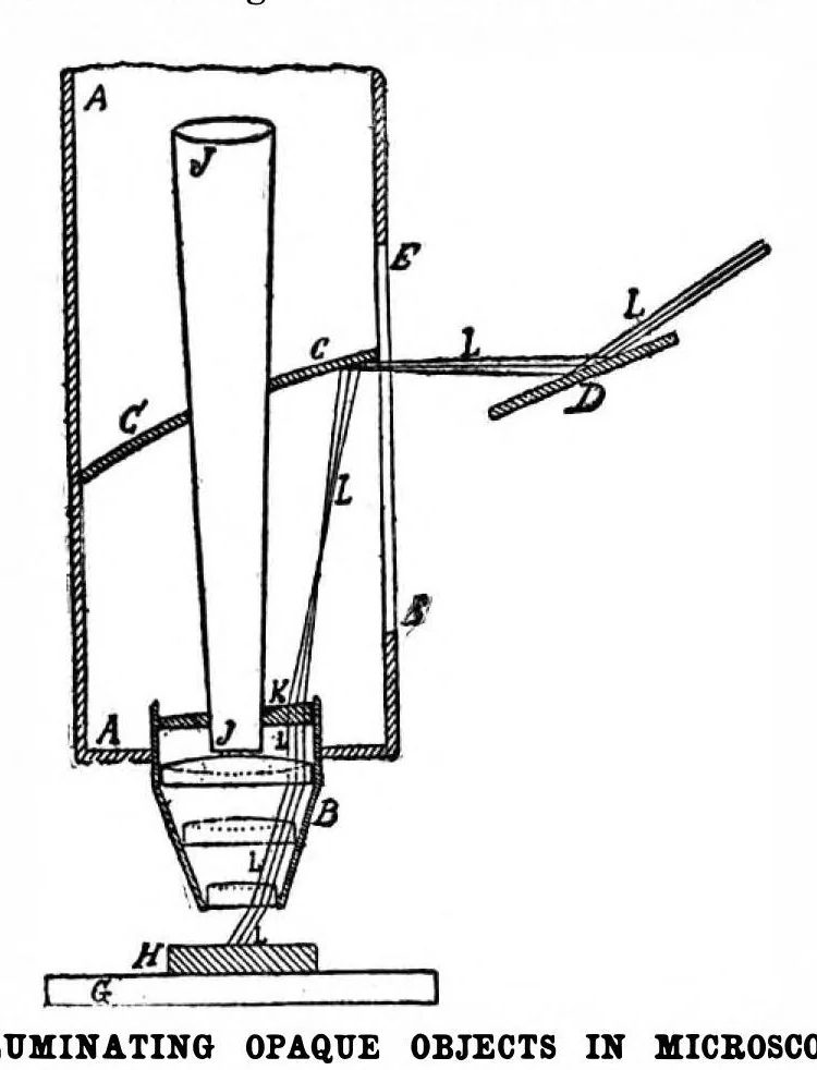 An illustration from Scientific American, Vol. 73, No. 15 (October 1895), 1895, leaf 3