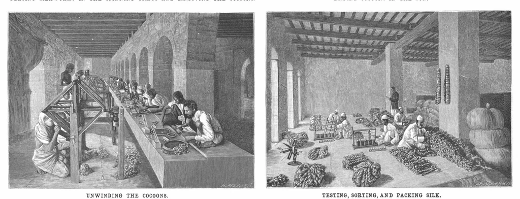 An illustration from Scientific American, Vol. 73, No. 18 (November 1895), 1895, leaf 4
