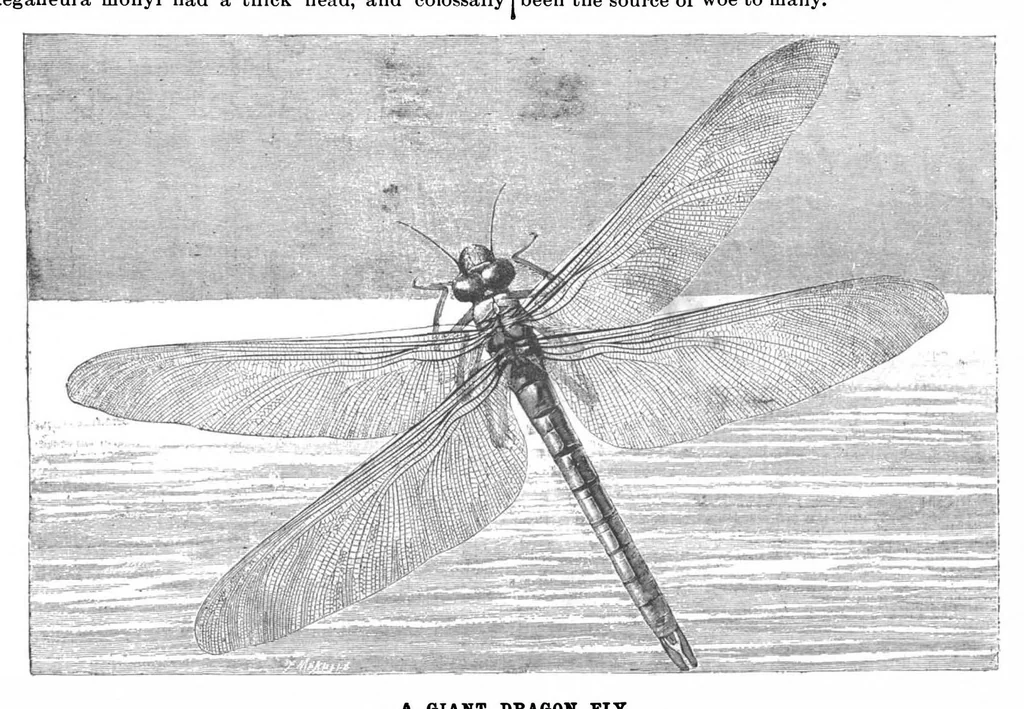 An illustration from Scientific American, Vol. 73, No. 19 (November 1895), 1895, leaf 3