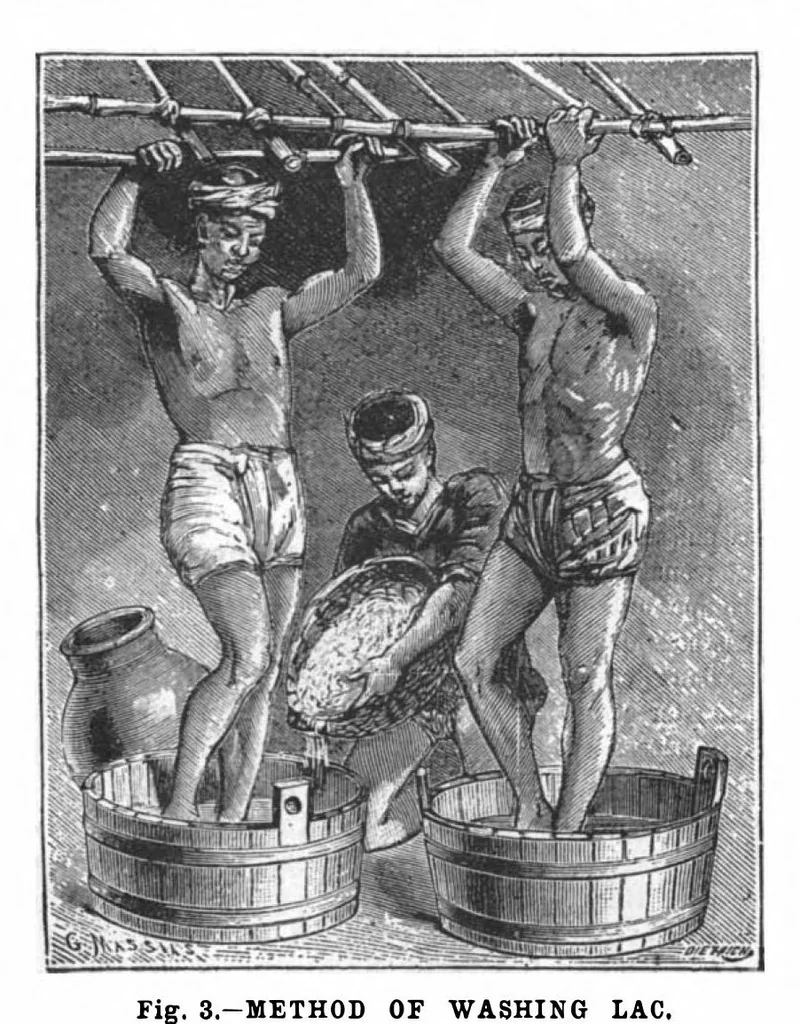 An illustration from Scientific American, Vol. 73, No. 20 (November 1895), 1895, leaf 4