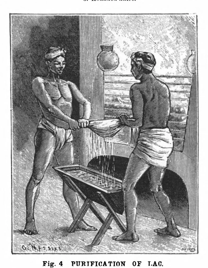 An illustration from Scientific American, Vol. 73, No. 20 (November 1895), 1895, leaf 4