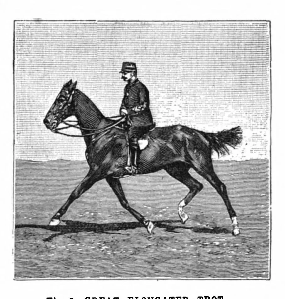 An illustration from Scientific American, Vol. 73, No. 24 (December 1895), 1895, leaf 4