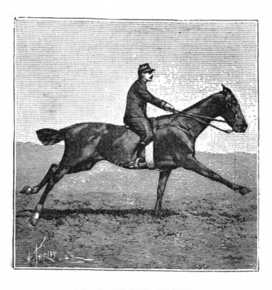 An illustration from Scientific American, Vol. 73, No. 24 (December 1895), 1895, leaf 4