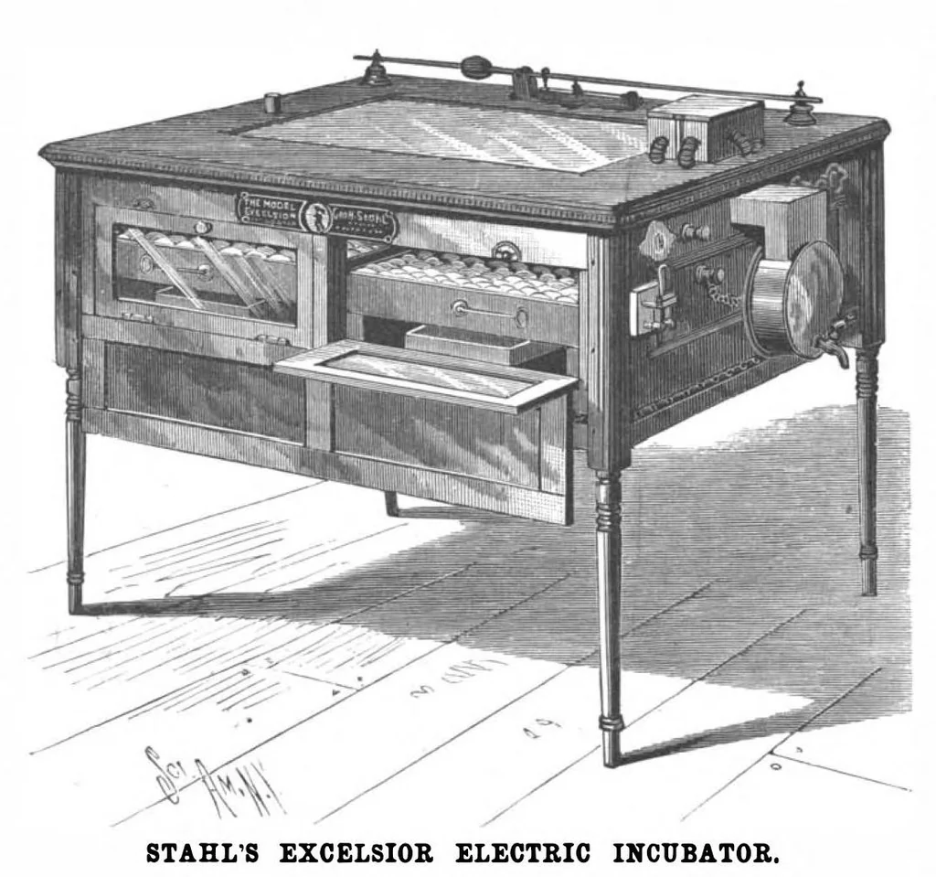 An illustration from Scientific American, Vol. 73, No. 25 (December 1895), 1895, leaf 4