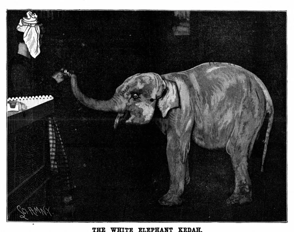 An illustration from Scientific American, Vol. 74, No. 1 (January 1896), 1896, leaf 9