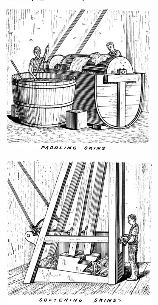 An illustration from Scientific American, Vol. 74, No. 12 (March 1896), 1896, leaf 8