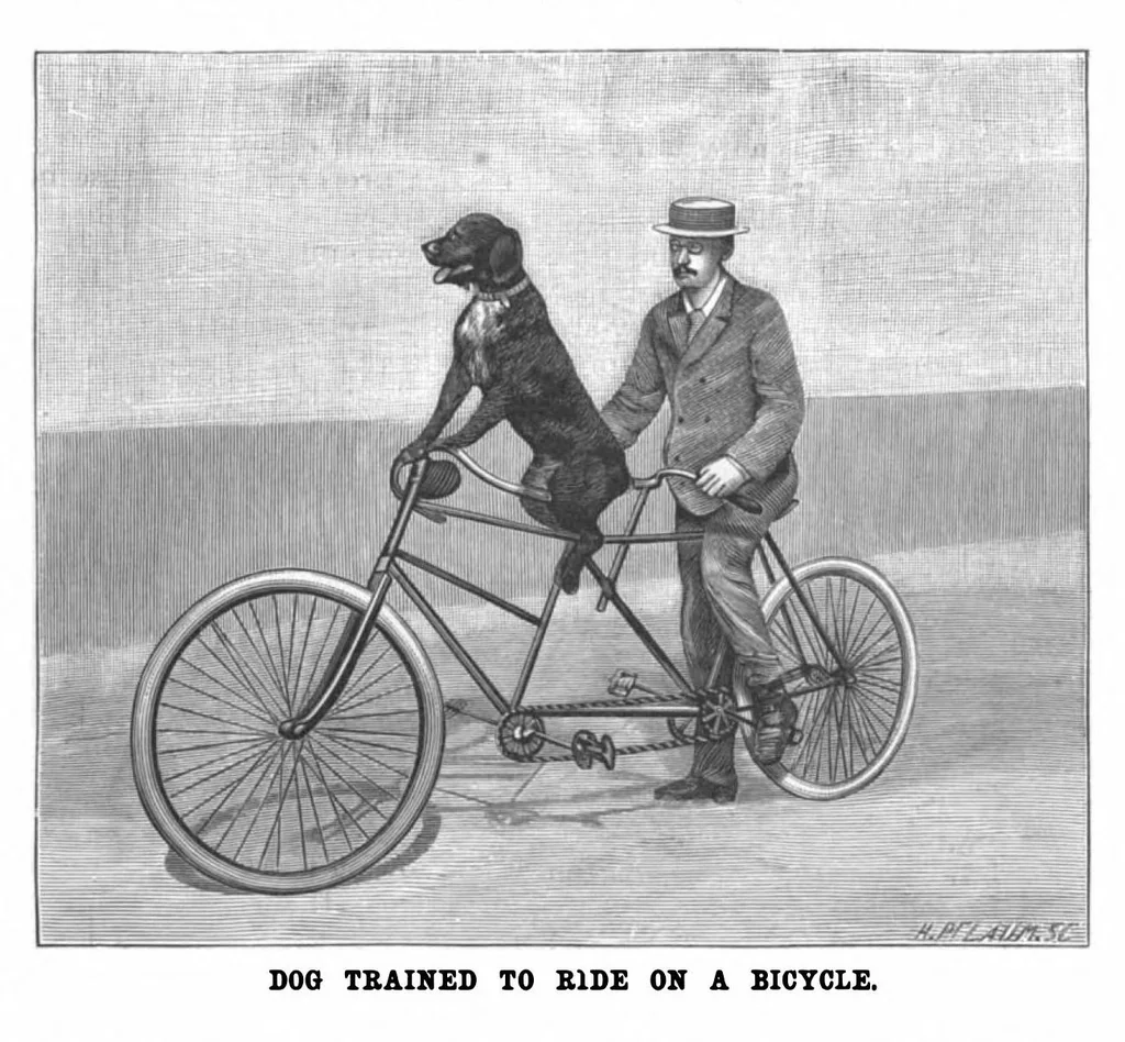 An illustration from Scientific American, Vol. 74, No. 15 (April 1896), 1896, leaf 4