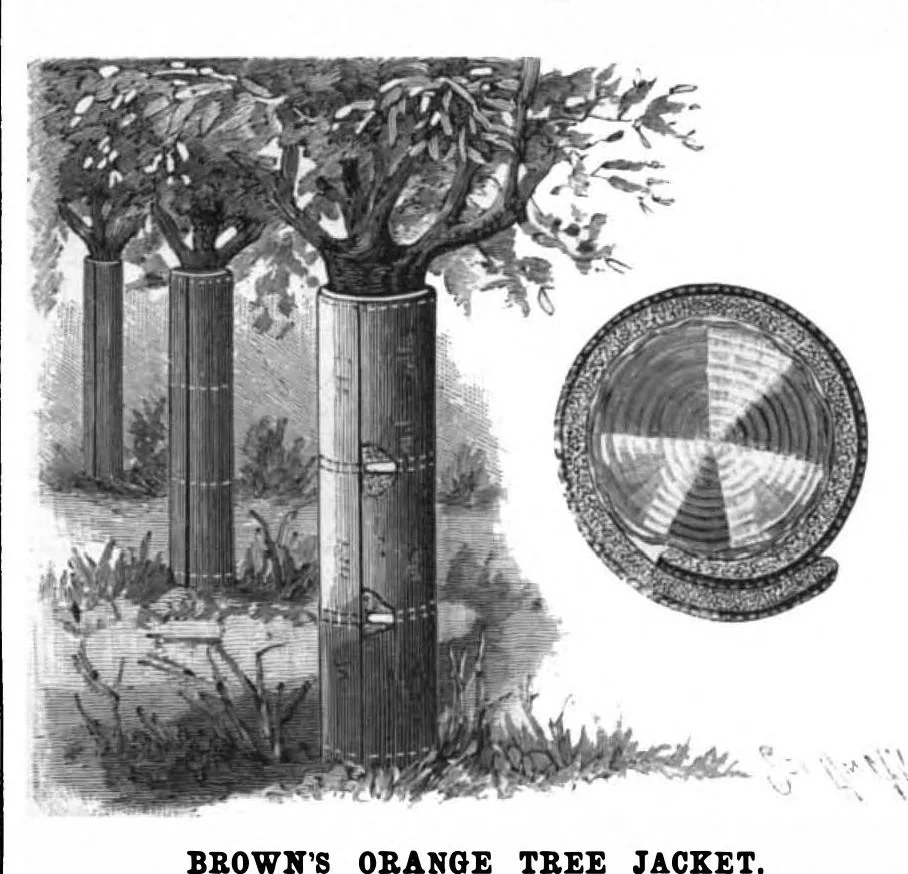 An illustration from Scientific American, Vol. 74, No. 24 (June 1896), 1896, leaf 7